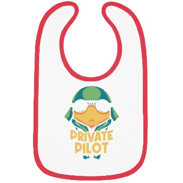 Discover Private Pilot Aircraft Small Airplane Bibs