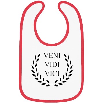 Discover History Teacher Bibs