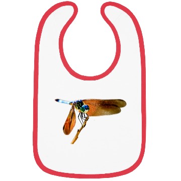 Discover Colorful dragonfly on a branch Bibs