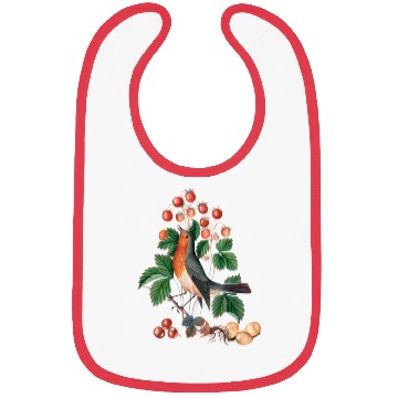 Discover European robin Bibs
