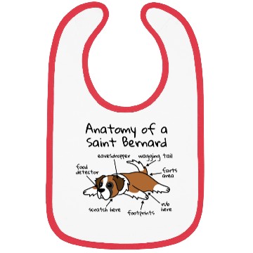 Discover Anatomy Of A Saint Bernard Bibs