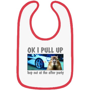 Discover Ok I Pull Up Capybara Meme After Party Rap Song ar Bibs