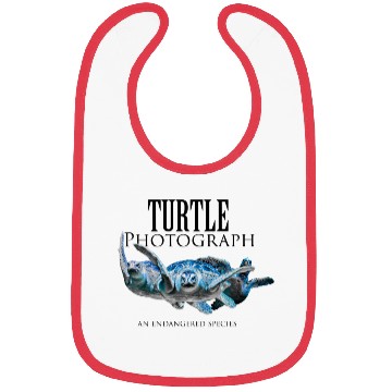 Discover Turtle photograph Bibs