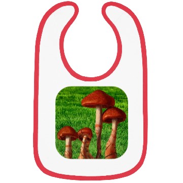 Discover Natural mushroom Bibs
