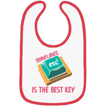 Discover Software Engineer Computer Key Programming Bibs
