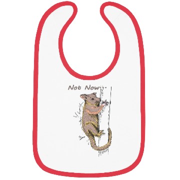 Discover Funny Opossum, Opossum Not Now Bibs