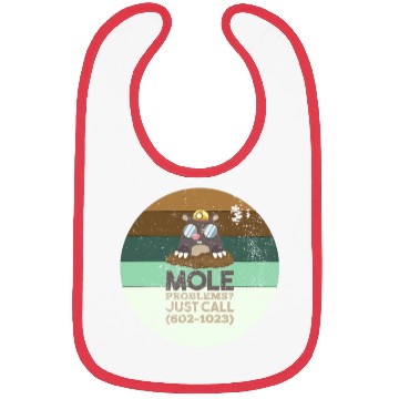 Discover Chemistry Mole Problems Bibs