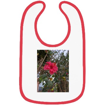 Discover Hibiscus Bibs
