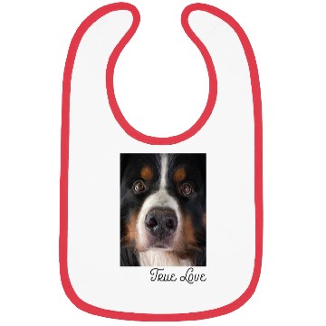 Discover Bernese Mountain Dog Bibs