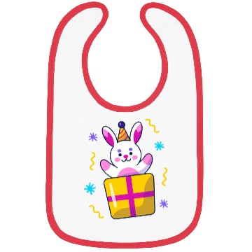 Discover surprise box Bibs
