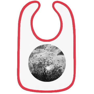 Discover Bird's dance in the sunlight Bibs