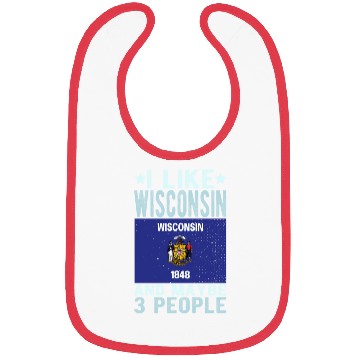 Discover Wisconsin Flag US State Bibs