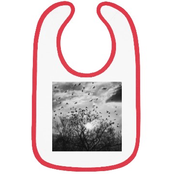 Discover Bird's flight at sunset Bibs