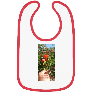 Discover Spring Bibs