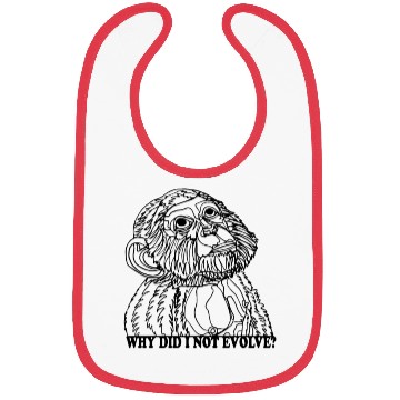 Discover Why did I not evolve | Monkey asks in surprise Bibs