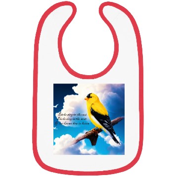 Discover Birds sing Bibs