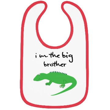 Discover big brother Bibs