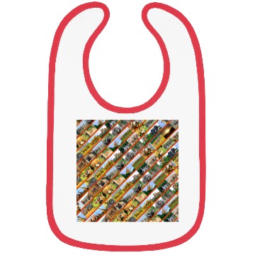 Discover Wildlife Stripe orange Collage Bibs