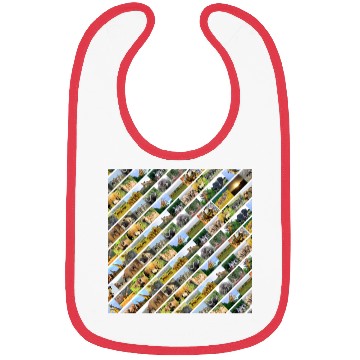 Discover Wildlife Stripe white Collage Bibs