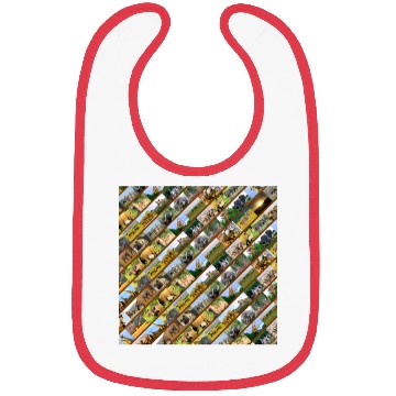 Discover Wildlife Stripe Brown Collage Bibs