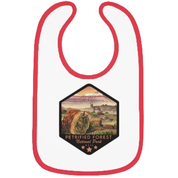Discover petrified forest national park Bibs