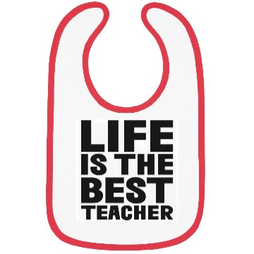 Discover Life is the best Teacher Bibs