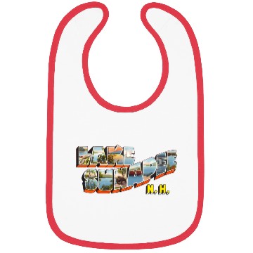 Discover Lake Sunapee New Hampshire Nh Bibs