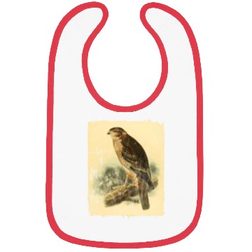 Discover Bird Facon Hawk Bibs