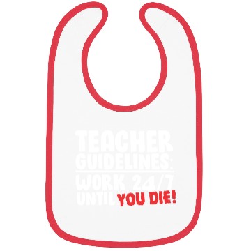 Discover Teacher Guidelines Bibs