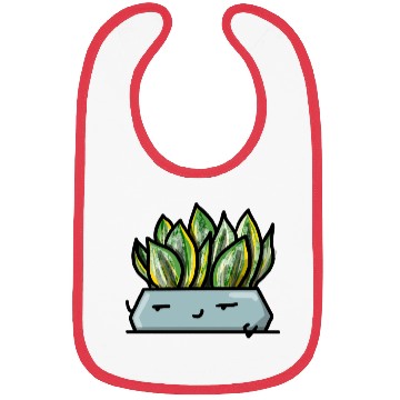 Discover Pocket Plant Sansevieria Bibs