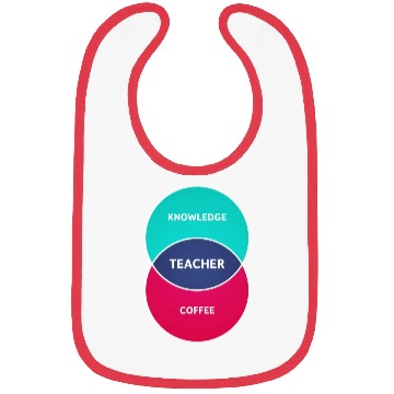 Discover The Teacher Formula Bibs
