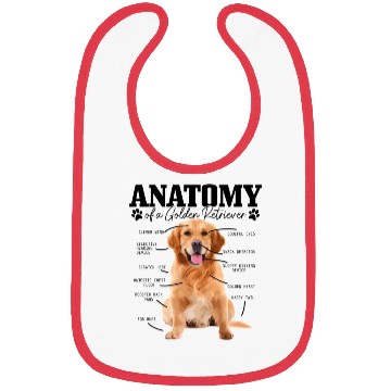 Discover Anatomy Of A Golden Retriever Dog Mom Dad Bibs