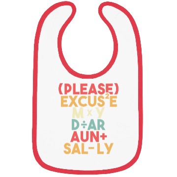 Discover Math Teacher Please Excuse My Dear Aunt Sally Bibs