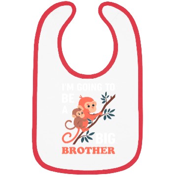 Discover Big Brother with Monkeys Bibs