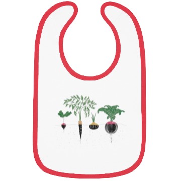 Discover Vegetable Bibs