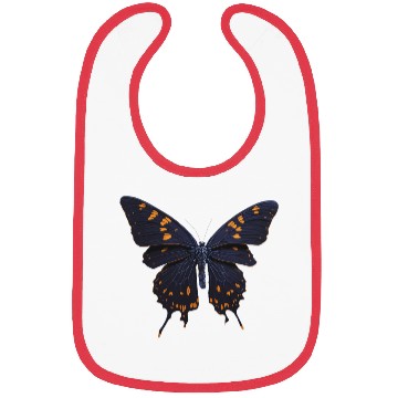 Discover Beauty of Butterflies Bibs