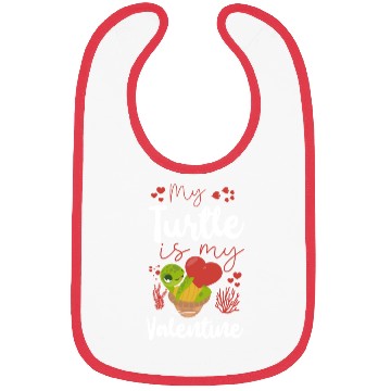 Discover Sea Turtle Tortoise Valentines Day Bibs