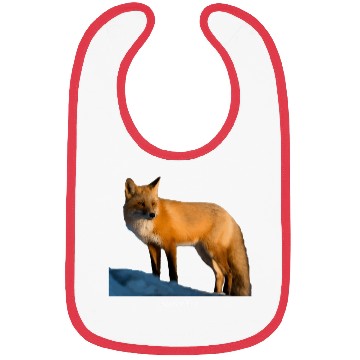 Discover Sunlit Fox Wildlife Nature Bibs