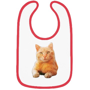 Discover Orange Cat Bibs
