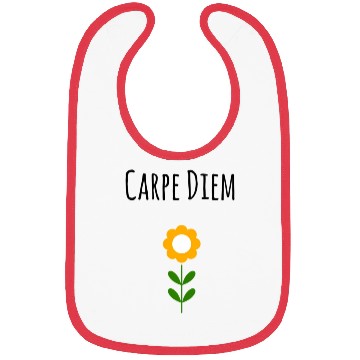 Discover Carpe Diem Inspirational Bibs