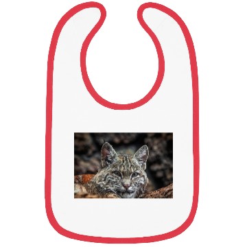 Discover Baby Bobcat, Cat, Stickers, Bibs