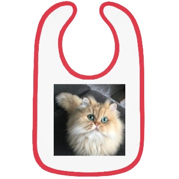 Discover Cat lover Bibs