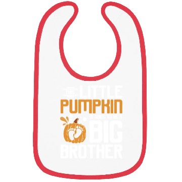 Discover Pregnancy Thanksgiving pumpkin big brother Bibs