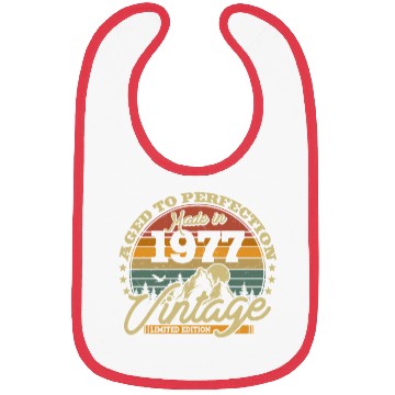Discover Vintage 1977 Birthday Gift Bibs