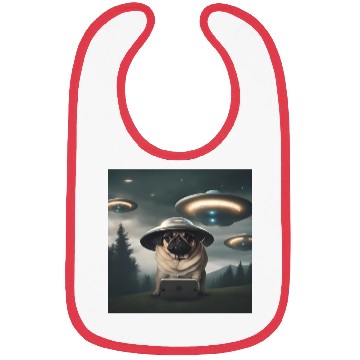 Discover Area 51 Bibs