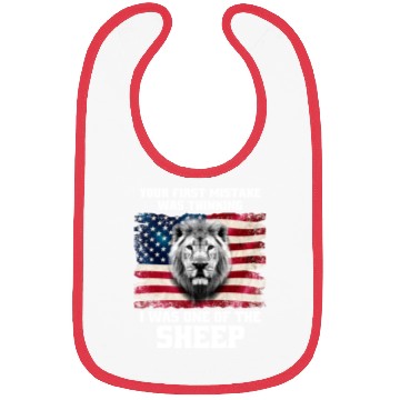 Discover American flag and lion Bibs