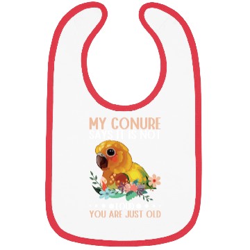 Discover My Conure says it is not loud sun Conure Bibs