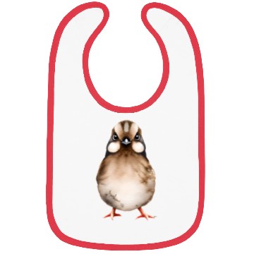Discover Little Brown BIrd Bibs