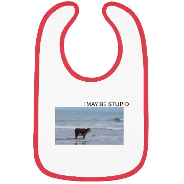 Discover I May Be Stupid Bibs