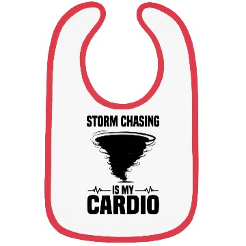 Discover Gift idea for storm chasers | Storm Attendant Bibs